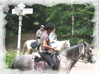  Equitación en junio 